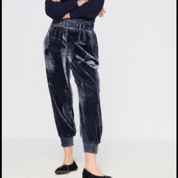 Anthropologie Gloria Velvet Jogger Size 